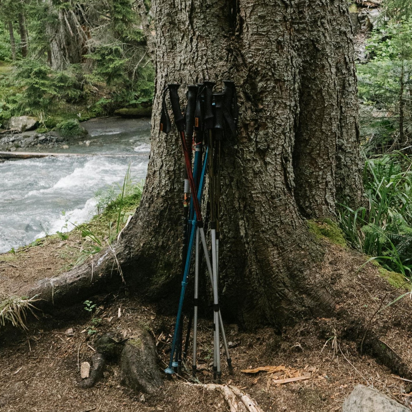 Trekking poles adjusted for uphill hiking