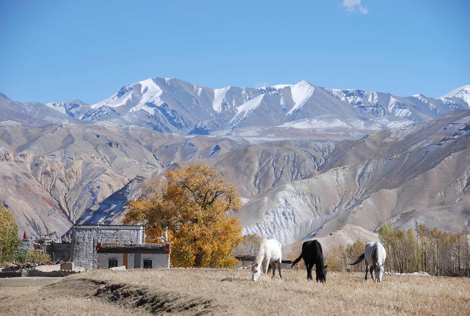 Upper Mustang Trek